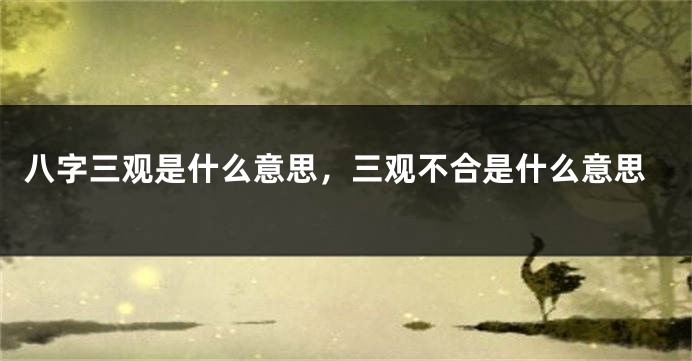 八字三观是什么意思，三观不合是什么意思