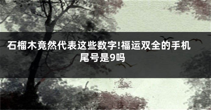 石榴木竟然代表这些数字!福运双全的手机尾号是9吗