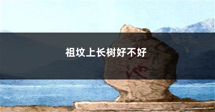 祖坟上长树好不好