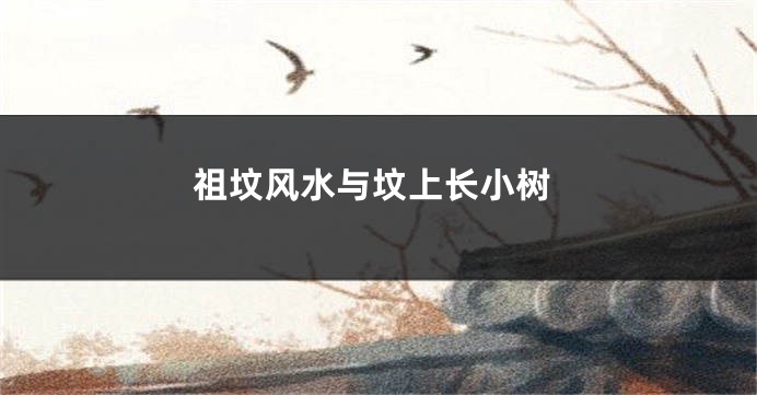 祖坟风水与坟上长小树