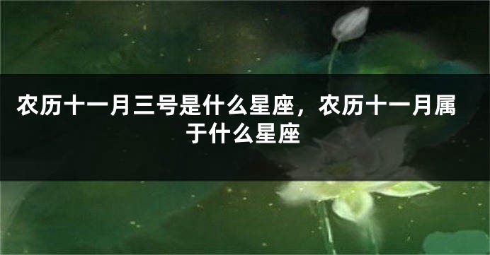 农历十一月三号是什么星座，农历十一月属于什么星座