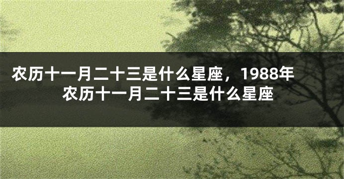 农历十一月二十三是什么星座，1988年农历十一月二十三是什么星座