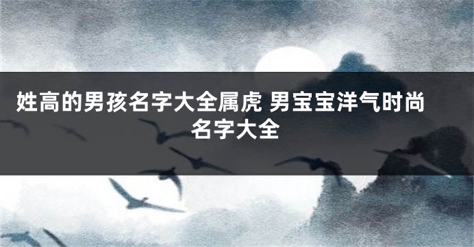 姓高的男孩名字大全属虎 男宝宝洋气时尚名字大全