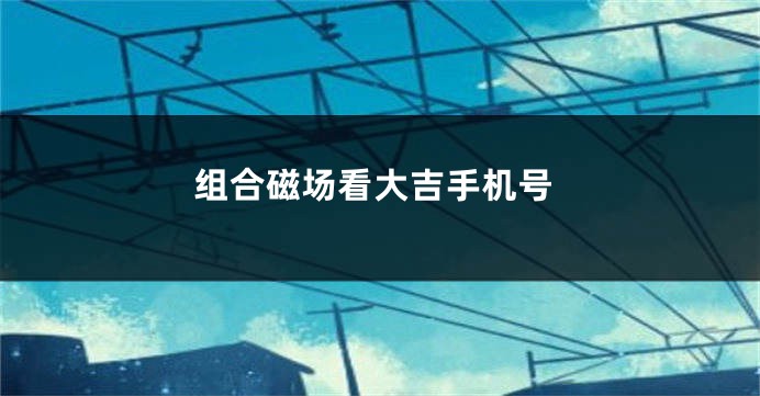 组合磁场看大吉手机号
