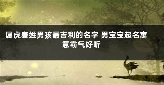 属虎秦姓男孩最吉利的名字 男宝宝起名寓意霸气好听