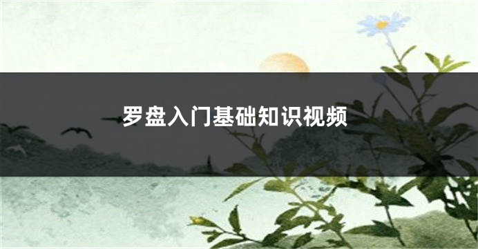 罗盘入门基础知识视频