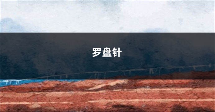 罗盘针