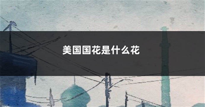 美国国花是什么花
