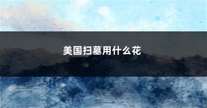 美国扫墓用什么花
