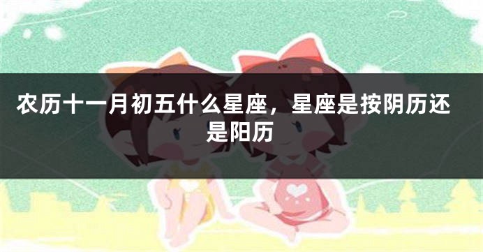 农历十一月初五什么星座，星座是按阴历还是阳历