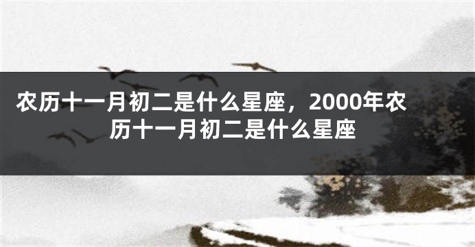 农历十一月初二是什么星座，2000年农历十一月初二是什么星座