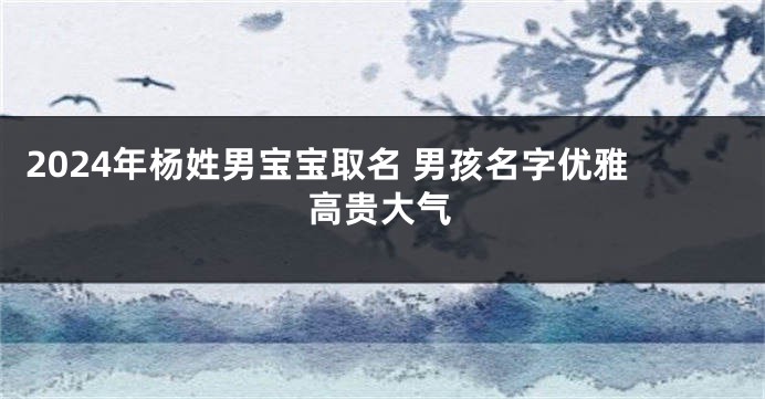 2024年杨姓男宝宝取名 男孩名字优雅高贵大气