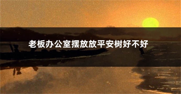 老板办公室摆放放平安树好不好
