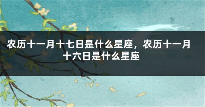 农历十一月十七日是什么星座，农历十一月十六日是什么星座