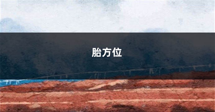 胎方位