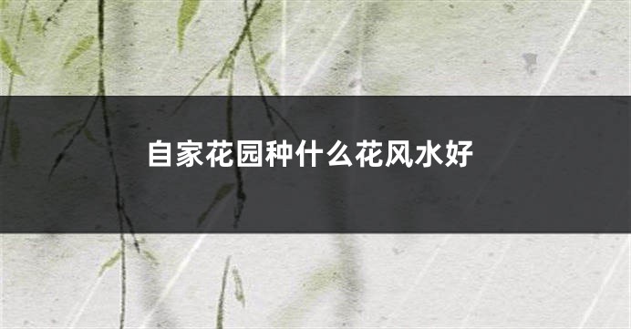 自家花园种什么花风水好