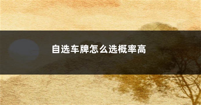 自选车牌怎么选概率高