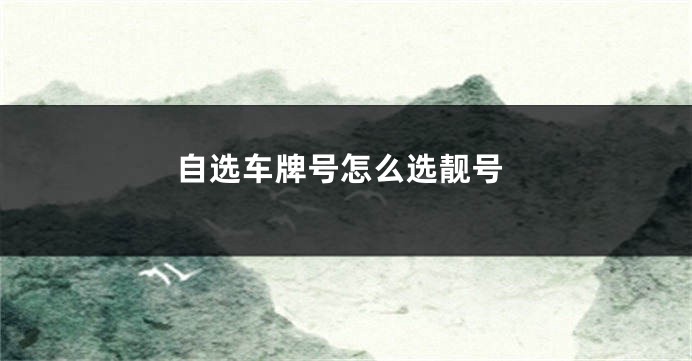 自选车牌号怎么选靓号