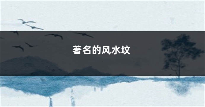 著名的风水坟