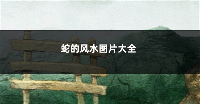蛇的风水图片大全