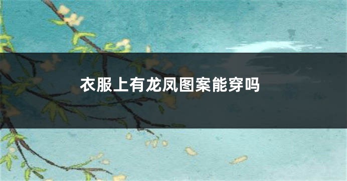 衣服上有龙凤图案能穿吗