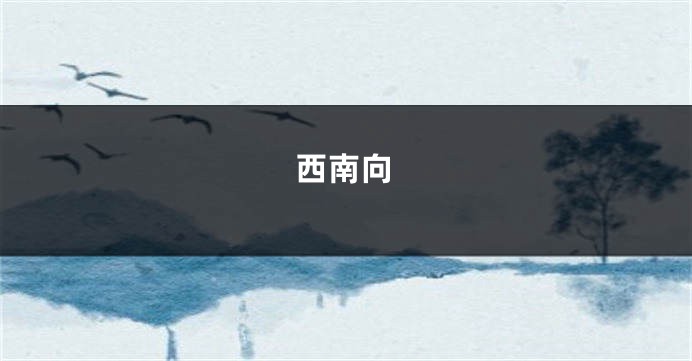 西南向