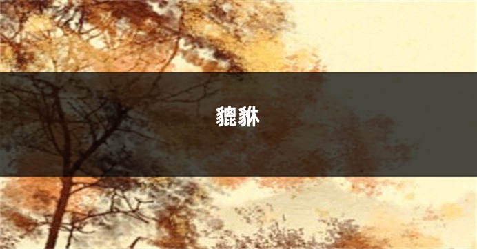 貔貅