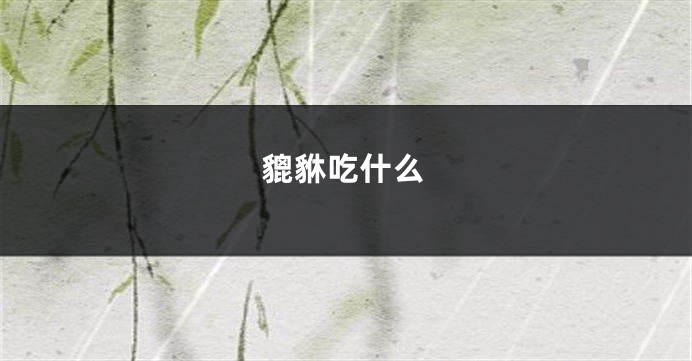 貔貅吃什么