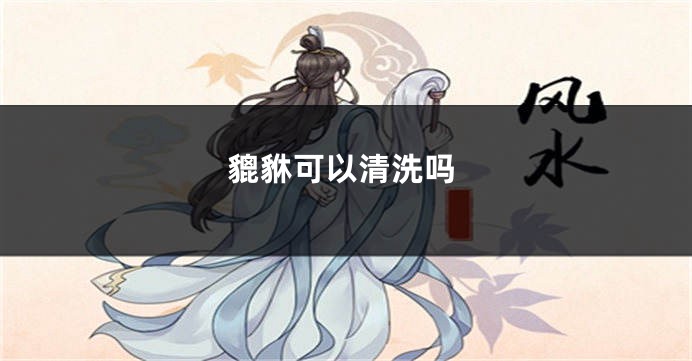 貔貅可以清洗吗