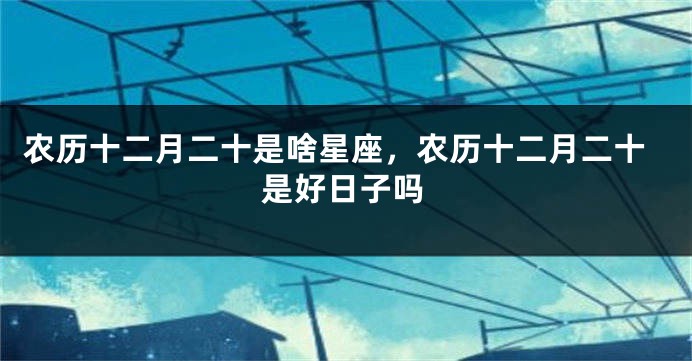 农历十二月二十是啥星座，农历十二月二十是好日子吗