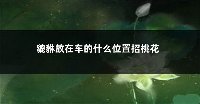 貔貅放在车的什么位置招桃花