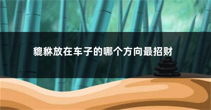 貔貅放在车子的哪个方向最招财