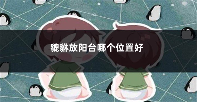 貔貅放阳台哪个位置好