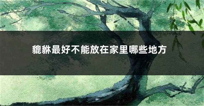 貔貅最好不能放在家里哪些地方