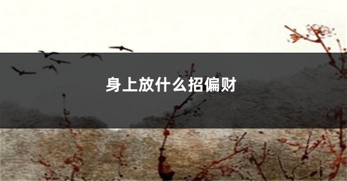 身上放什么招偏财