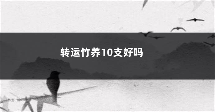 转运竹养10支好吗
