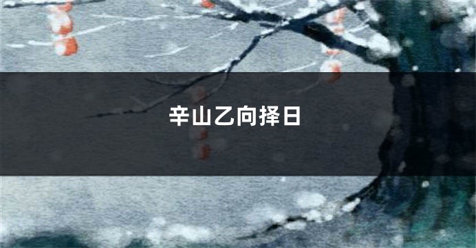 辛山乙向择日