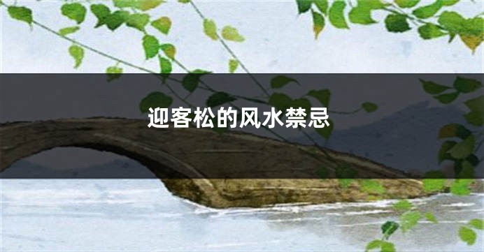 迎客松的风水禁忌
