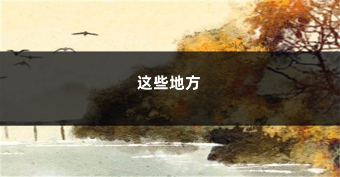 这些地方
