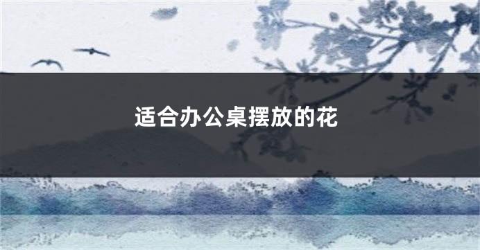 适合办公桌摆放的花