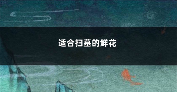 适合扫墓的鲜花