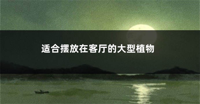适合摆放在客厅的大型植物