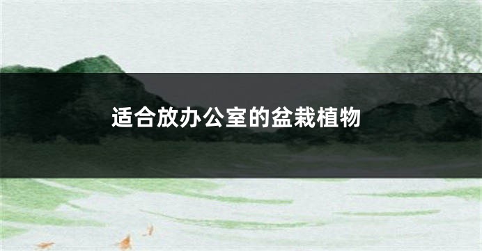 适合放办公室的盆栽植物