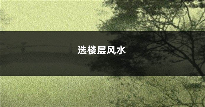 选楼层风水
