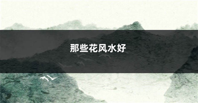 那些花风水好