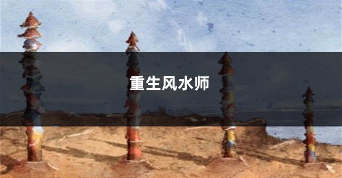 重生风水师
