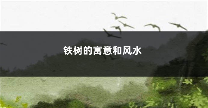 铁树的寓意和风水