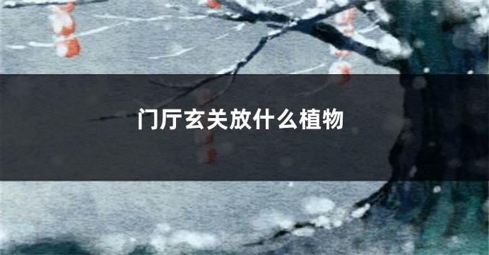 门厅玄关放什么植物