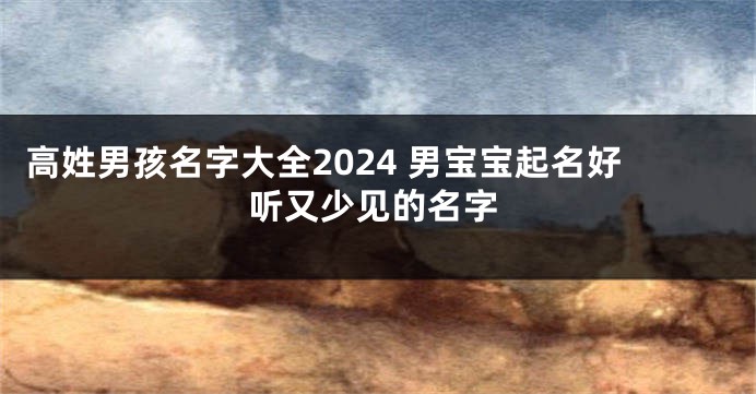 高姓男孩名字大全2024 男宝宝起名好听又少见的名字