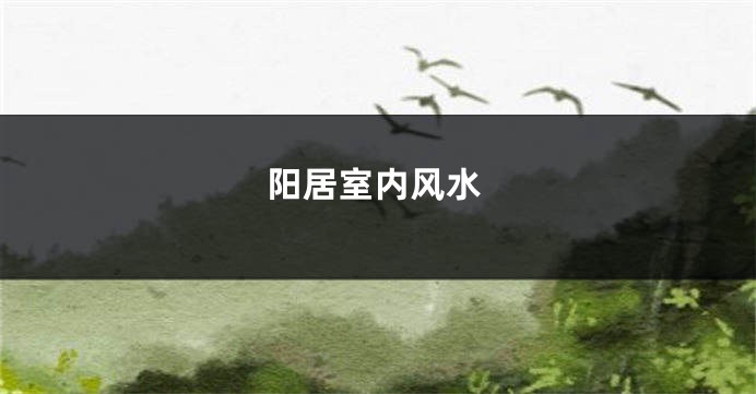 阳居室内风水